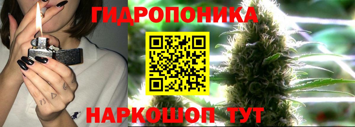 МАРИХУАНА ГИДРОПОН  Марихуана ГИДРОПОН  Унеча  Бошки Шишки конопля  Вход с VPN  Конопля марихуана 